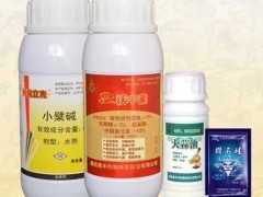 草莓炭疽病专用药图2