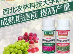 澳仕达微量元素水溶肥料图2